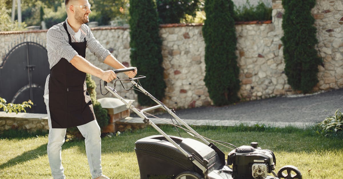 Lawn Maintenance in Scottsdale